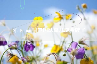 呼伦贝尔中国队拿几块金牌了