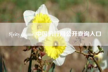 呼伦贝尔中国执行网公开查询入口