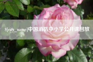 呼伦贝尔中国消防中小学公开课回放