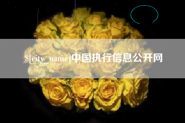 呼伦贝尔中国执行信息公开网
