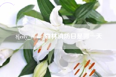 呼伦贝尔森林消防日是哪一天