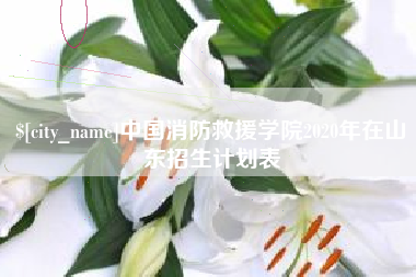 呼伦贝尔中国消防救援学院2020年在山东招生计划表