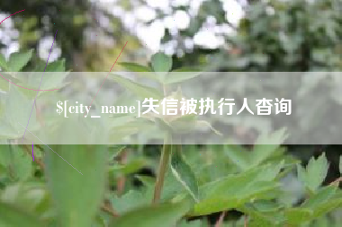 呼伦贝尔失信被执行人杳询