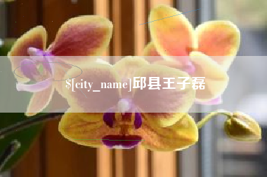 呼伦贝尔邱县王子磊
