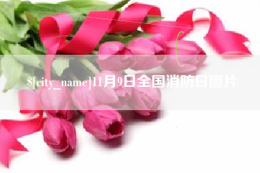 呼伦贝尔11月9日全国消防日图片