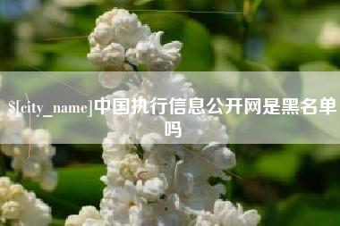 呼伦贝尔中国执行信息公开网是黑名单吗