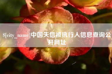 呼伦贝尔中国失信被执行人信息查询公开网址