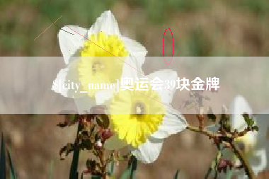 呼伦贝尔奥运会39块金牌