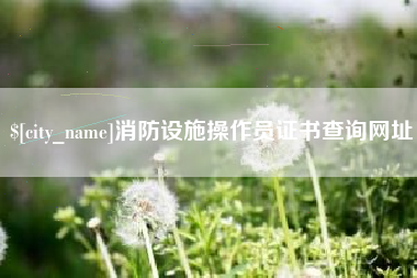 呼伦贝尔消防设施操作员证书查询网址