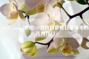 呼伦贝尔我国119消防日宣传日是每年的几月几日
