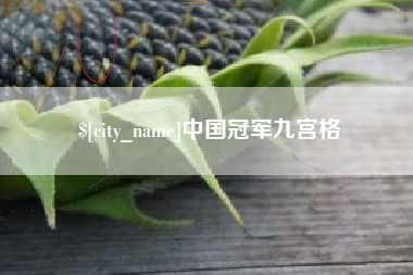 呼伦贝尔中国冠军九宫格