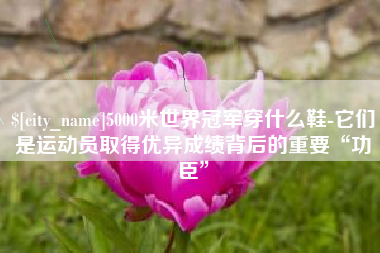 呼伦贝尔5000米世界冠军穿什么鞋-它们是运动员取得优异成绩背后的重要“功臣”