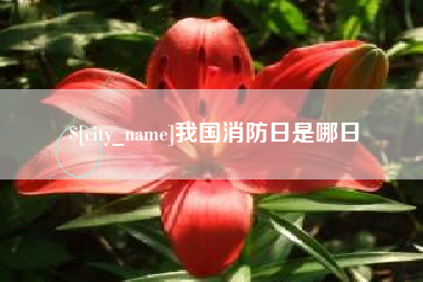 呼伦贝尔我国消防日是哪日