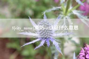 呼伦贝尔消防ccc认证什么意思