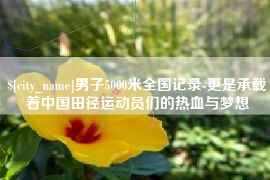 呼伦贝尔男子5000米全国记录-更是承载着中国田径运动员们的热血与梦想
