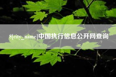 呼伦贝尔中国执行信息公开网查询
