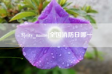呼伦贝尔全国消防日哪一