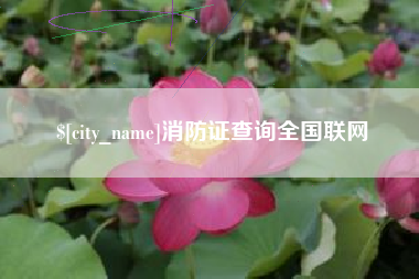 呼伦贝尔消防证查询全国联网