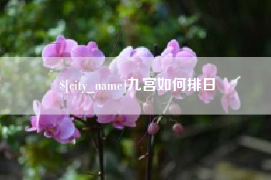 呼伦贝尔九宫如何排日