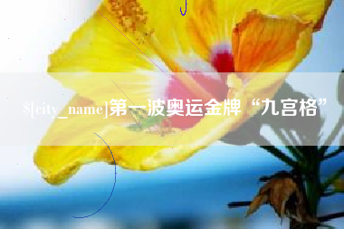 呼伦贝尔第一波奥运金牌“九宫格”