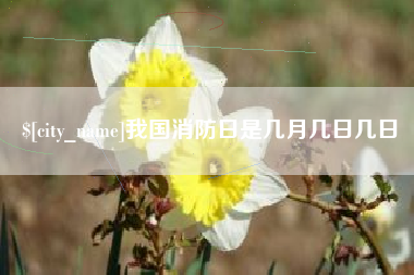 呼伦贝尔我国消防日是几月几日几日