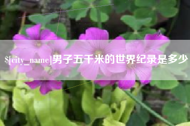 呼伦贝尔男子五千米的世界纪录是多少