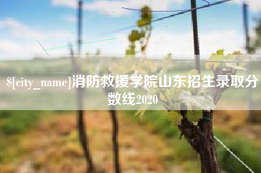 呼伦贝尔消防救援学院山东招生录取分数线2020