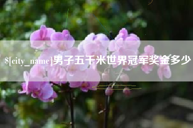 呼伦贝尔男子五千米世界冠军奖金多少