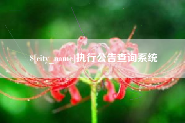 呼伦贝尔执行公告查询系统