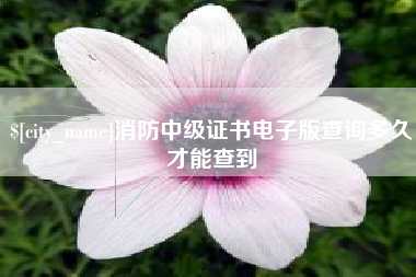 呼伦贝尔消防中级证书电子版查询多久才能查到
