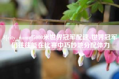 呼伦贝尔5000米世界冠军配速-世界冠军们往往能在比赛中巧妙地分配体力