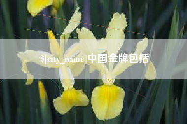 呼伦贝尔中国金牌包括