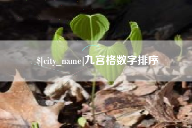 呼伦贝尔九宫格数字排序