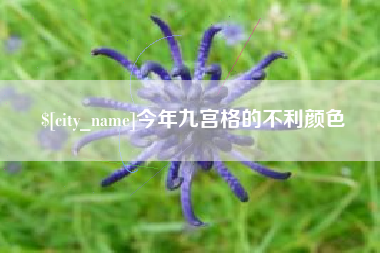 呼伦贝尔今年九宫格的不利颜色