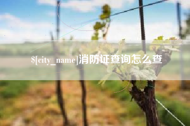 呼伦贝尔消防证查询怎么查