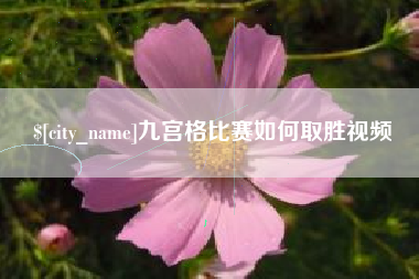 呼伦贝尔九宫格比赛如何取胜视频