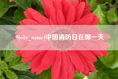 呼伦贝尔中国消防日在哪一天