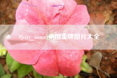 呼伦贝尔中国金牌图片大全