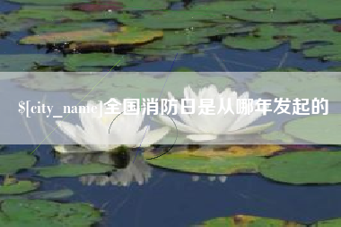 呼伦贝尔全国消防日是从哪年发起的