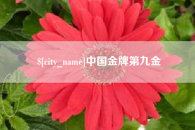 呼伦贝尔中国金牌第九金