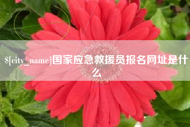呼伦贝尔国家应急救援员报名网址是什么
