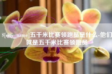 呼伦贝尔五千米比赛领跑员是什么-他们就是五千米比赛领跑员