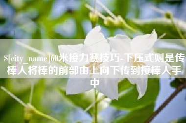 呼伦贝尔60米接力赛技巧-下压式则是传棒人将棒的前部由上向下传到接棒人手中
