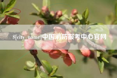 呼伦贝尔中国消防报考中心官网