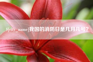 呼伦贝尔我国的消防日是几月几号？
