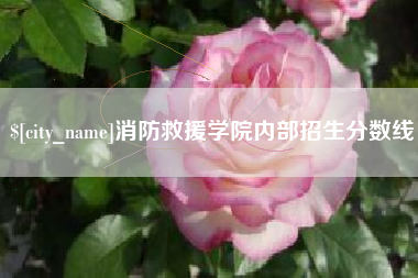 呼伦贝尔消防救援学院内部招生分数线