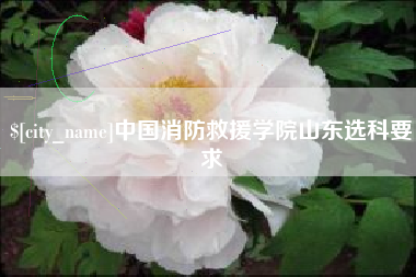 呼伦贝尔中国消防救援学院山东选科要求