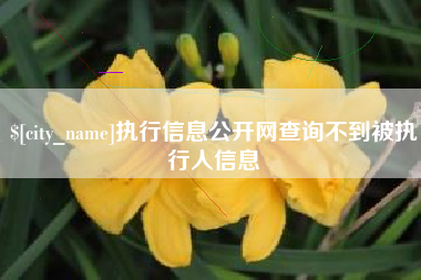 呼伦贝尔执行信息公开网查询不到被执行人信息