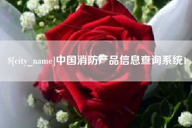 呼伦贝尔中国消防产品信息查询系统1
