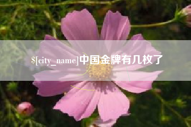 呼伦贝尔中国金牌有几枚了
